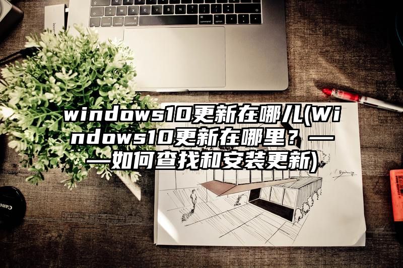 windows10更新在哪儿