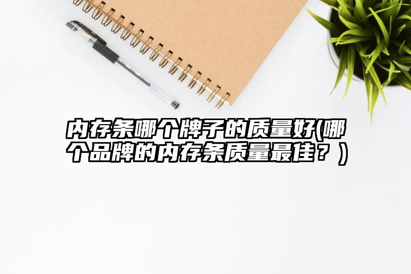 内存条哪个牌子的质量好