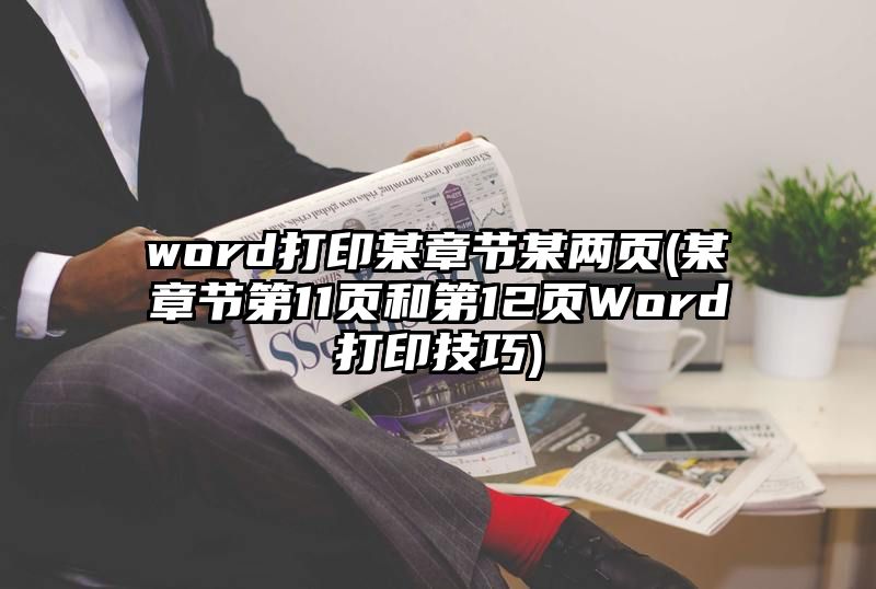 word打印某章节某两页