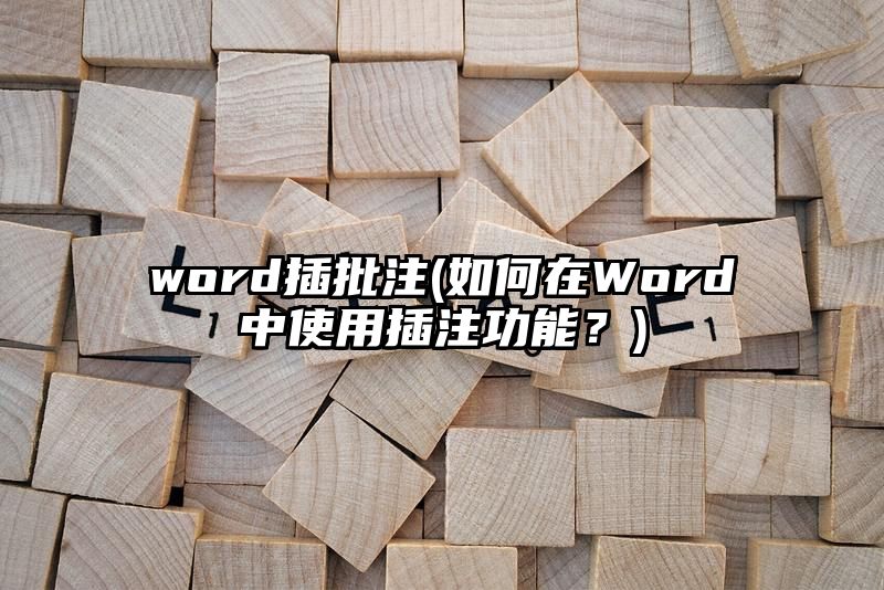 word插批注