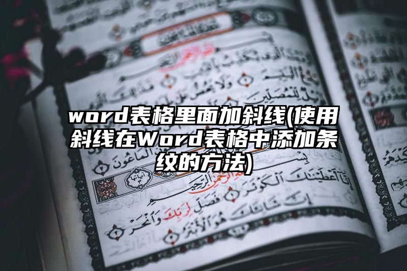 word表格里面加斜线