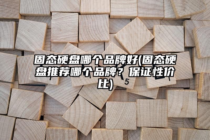 固态硬盘哪个品牌好