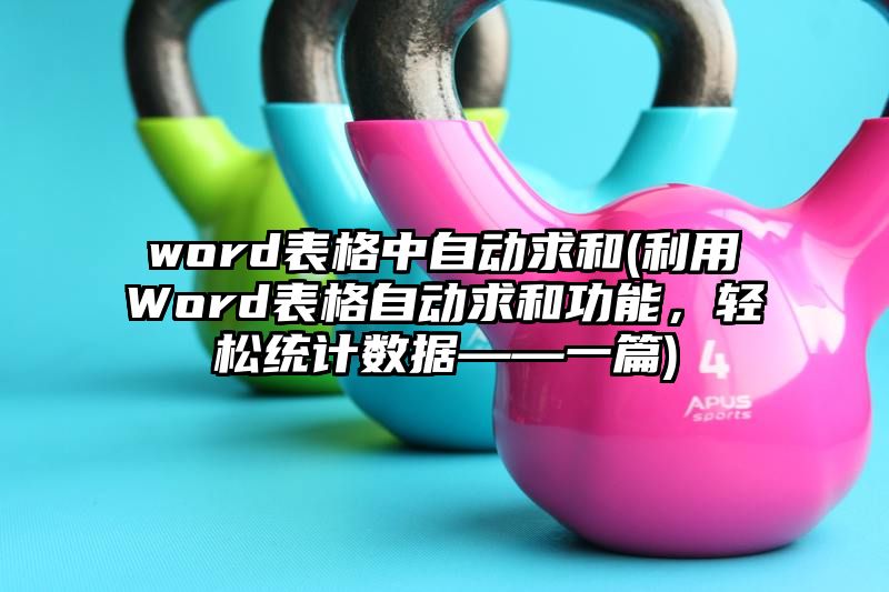 word表格中自动求和