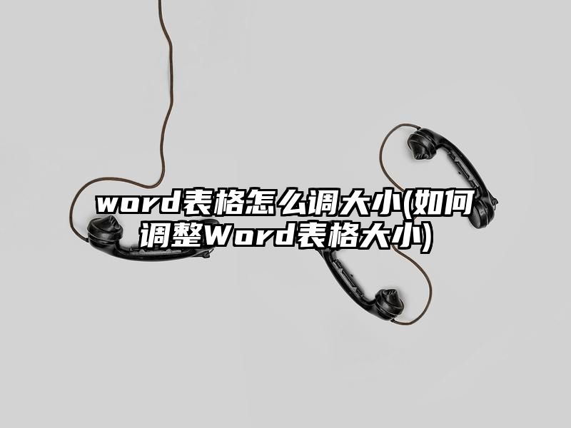 word表格怎么调大小