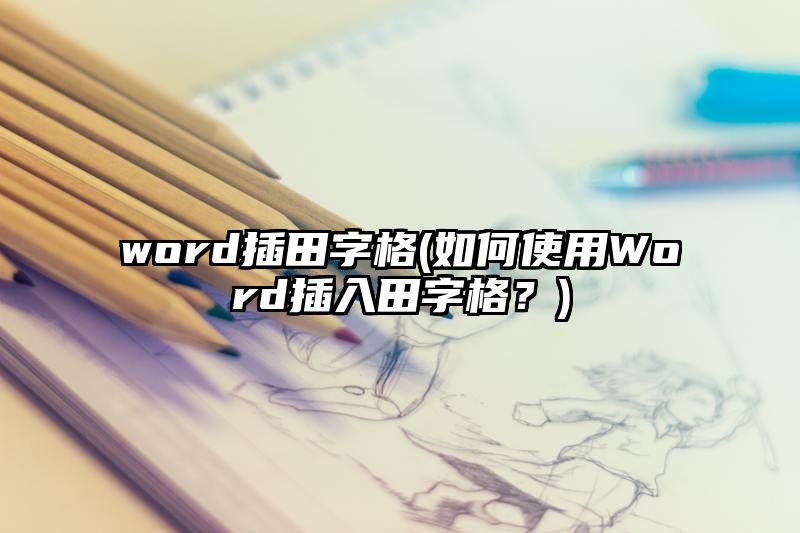 word插田字格