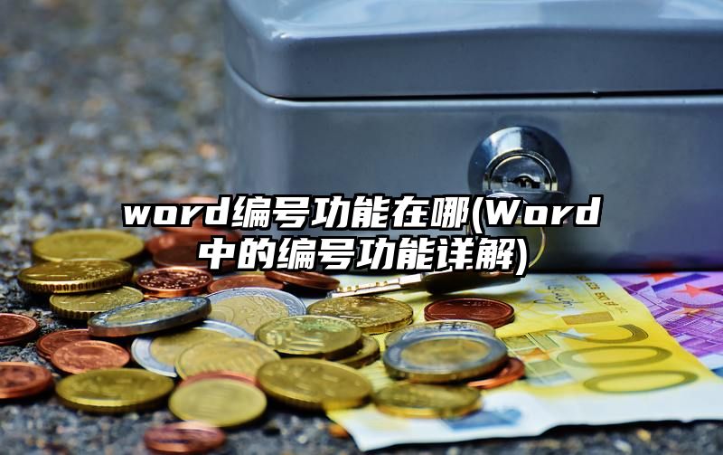 word编号功能在哪