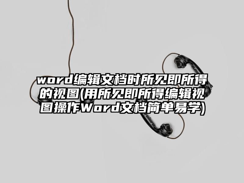 word编辑文档时所见即所得的视图