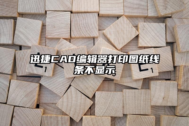 迅捷CAD编辑器打印图纸线条不显示