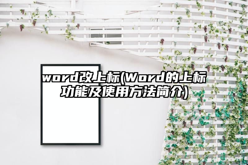 word改上标