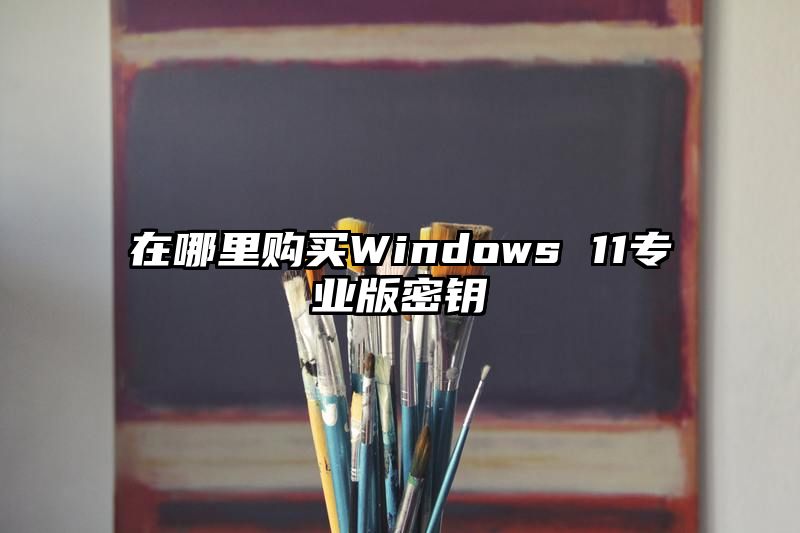 在哪里购买Windows 11专业版密钥