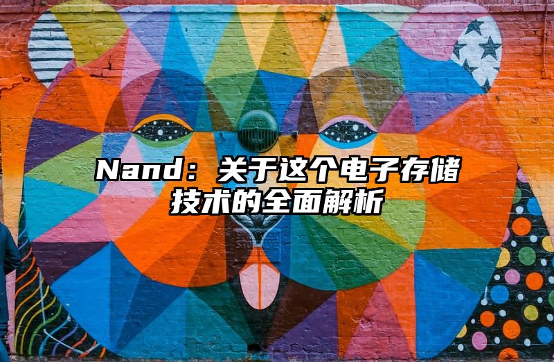 Nand：关于这个电子存储技术的全面解析