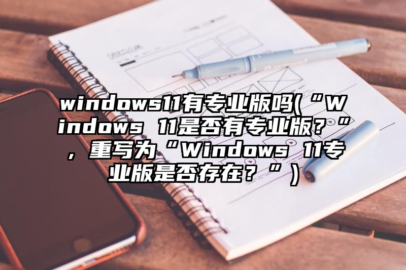 windows11有专业版吗