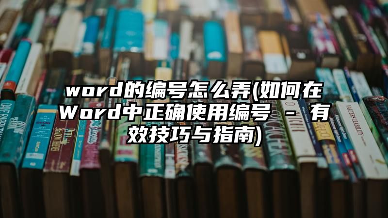 word的编号怎么弄