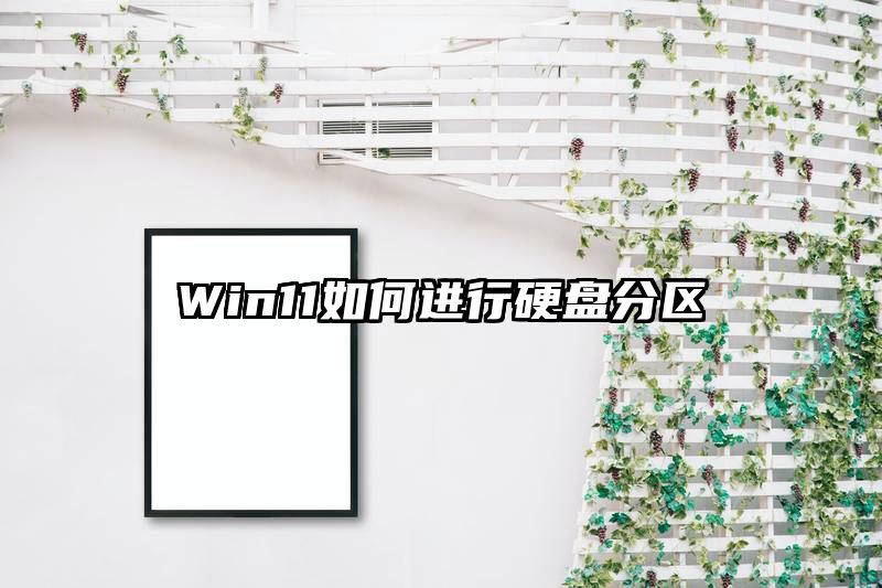 Win11如何进行硬盘分区