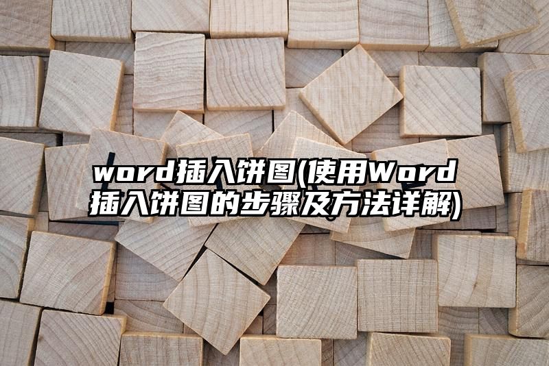 word插入饼图