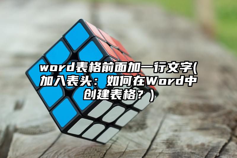 word表格前面加一行文字