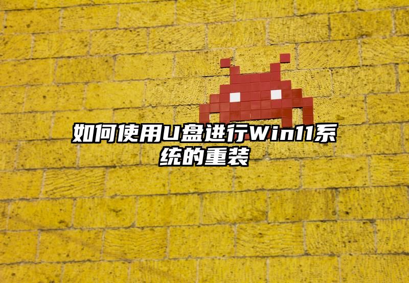 如何使用U盘进行Win11系统的重装