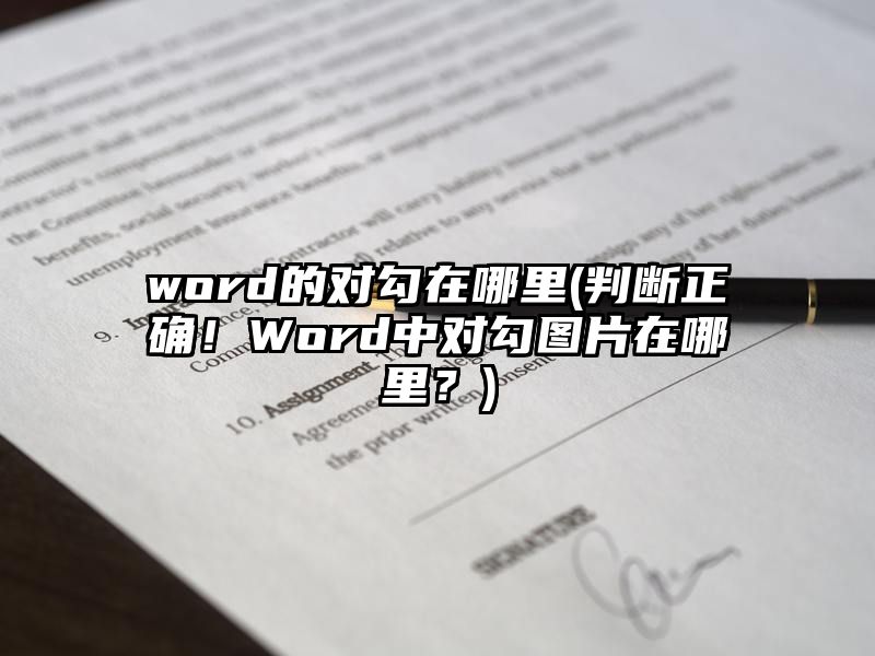 word的对勾在哪里