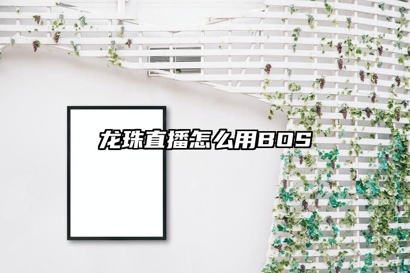 龙珠直播怎么用BOS