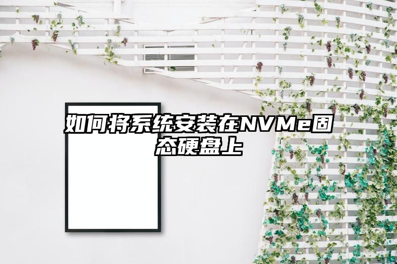 如何将系统安装在NVMe固态硬盘上