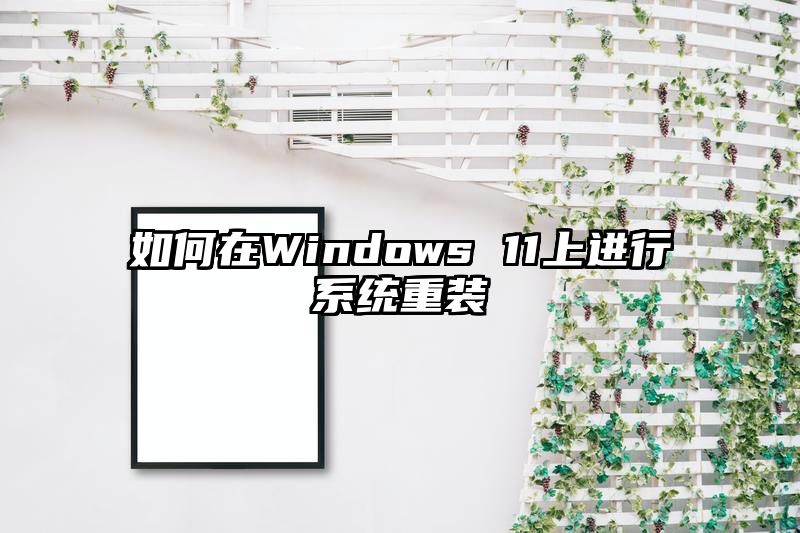 如何在Windows 11上进行系统重装