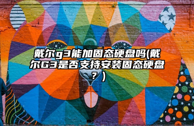 戴尔g3能加固态硬盘吗