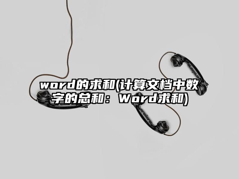 word的求和