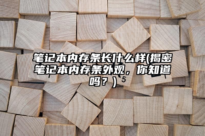 笔记本内存条长什么样