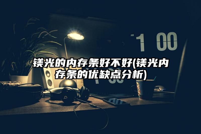 镁光的内存条好不好