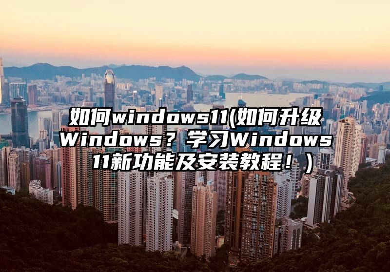 如何windows11