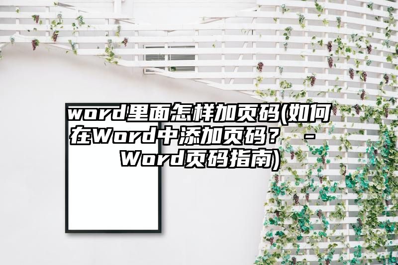 word里面怎样加页码