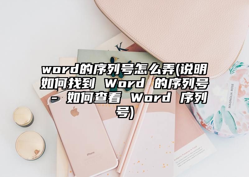 word的序列号怎么弄