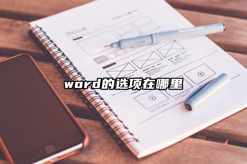 word的选项在哪里