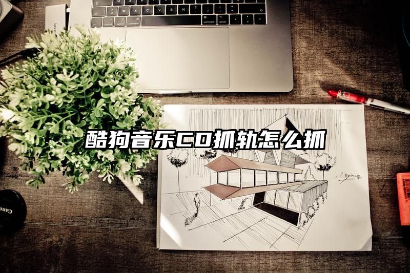 酷狗音乐CD抓轨怎么抓