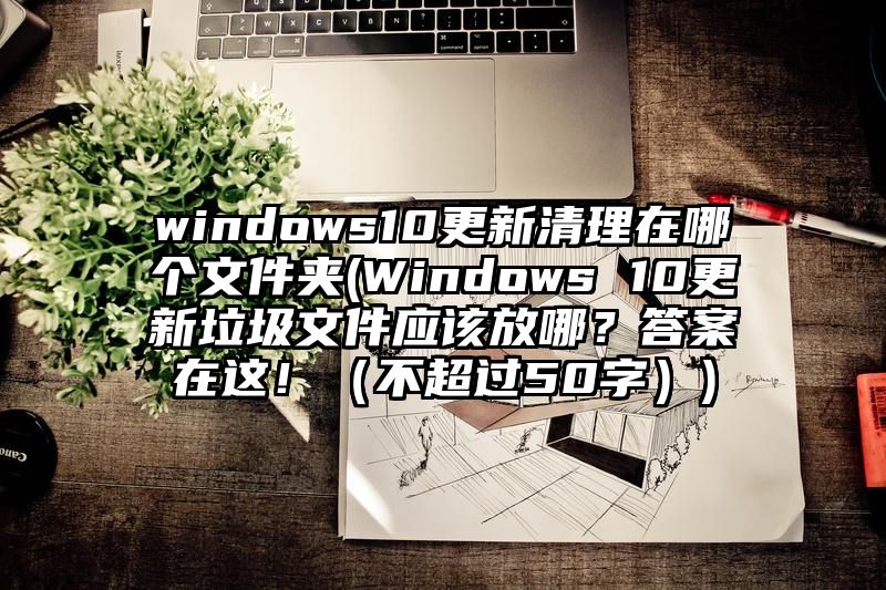 windows10更新清理在哪个文件夹