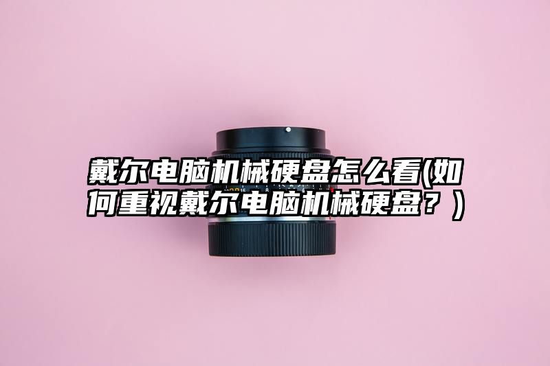 戴尔电脑机械硬盘怎么看