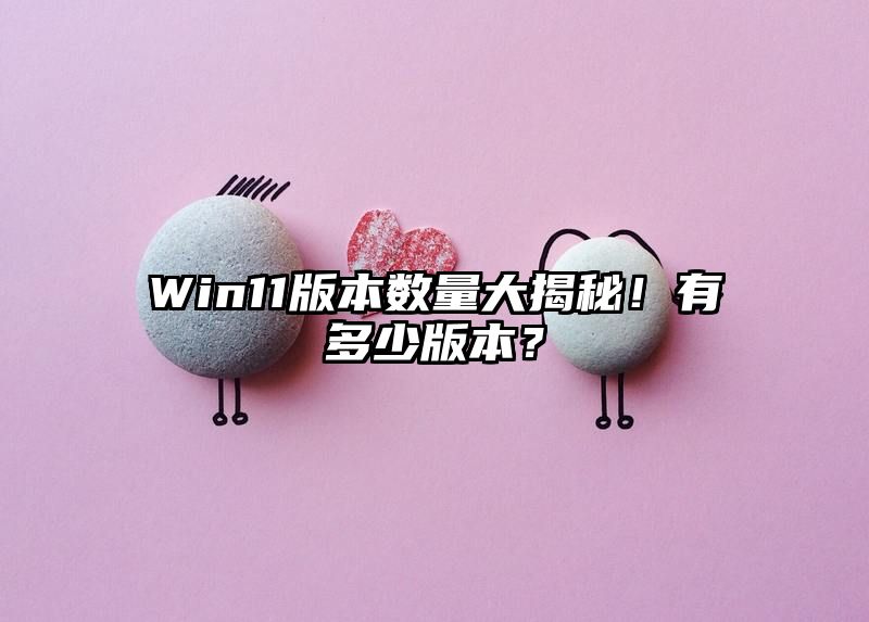 Win11版本数量大揭秘！有多少版本？