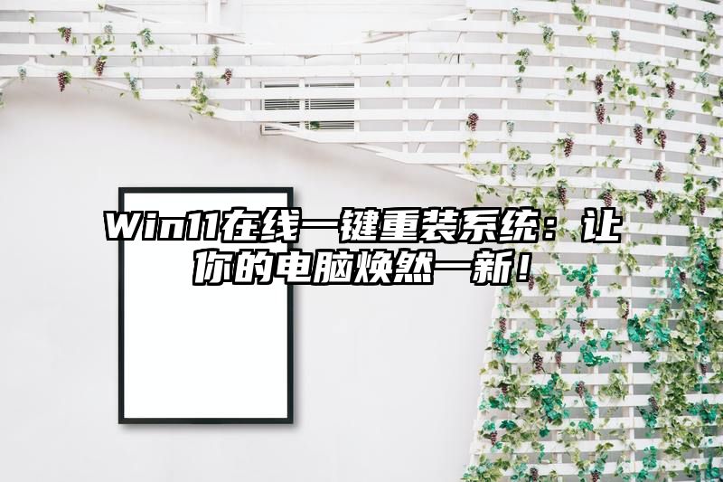 Win11在线一键重装系统：让你的电脑焕然一新！