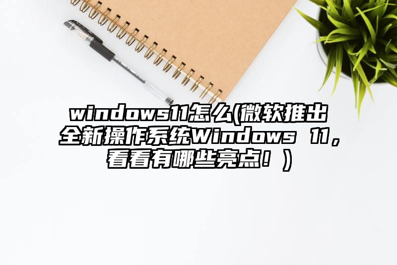 windows11怎么