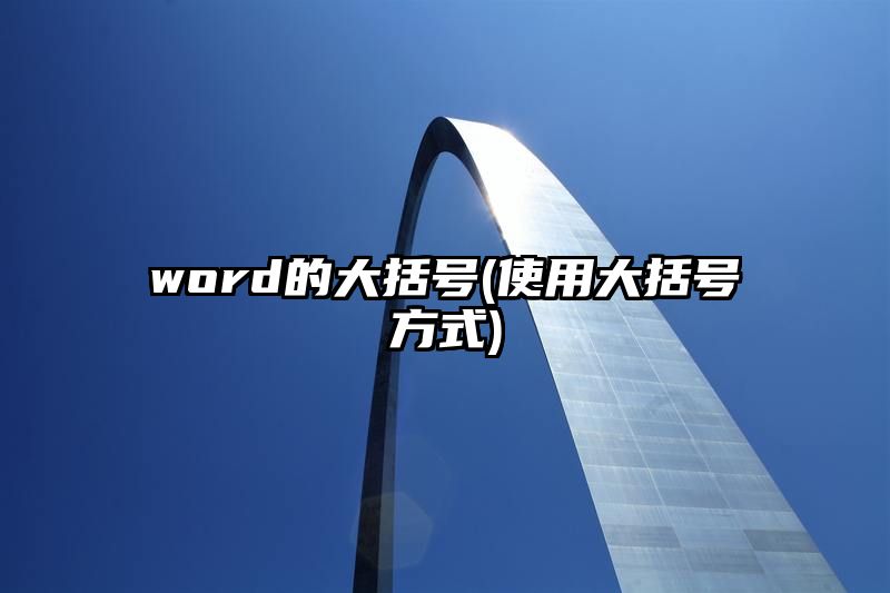 word的大括号