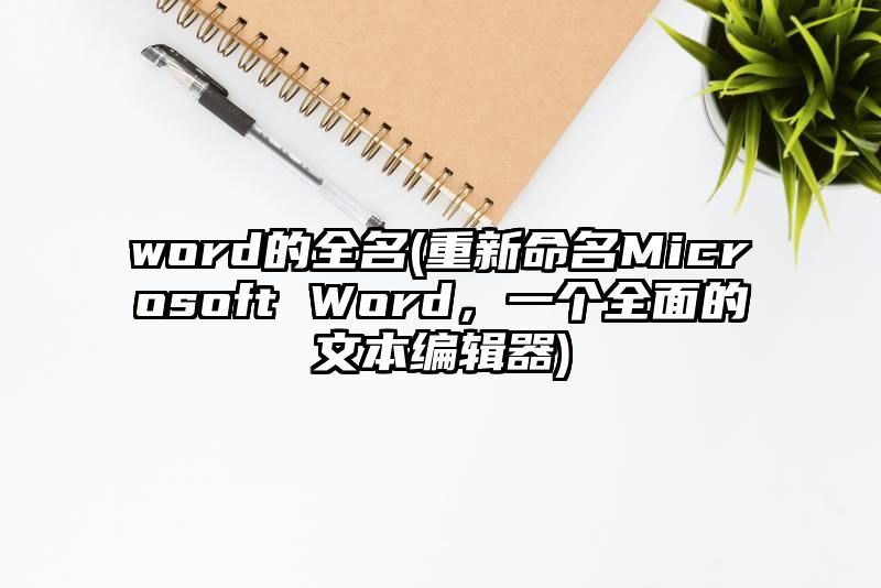 word的全名