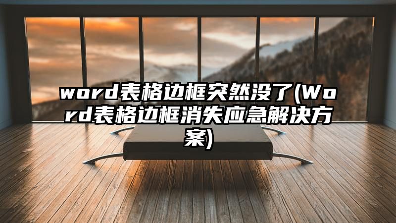 word表格边框突然没了