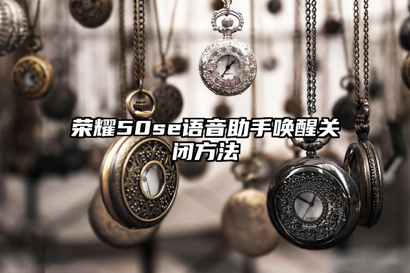 荣耀50se语音助手唤醒关闭方法