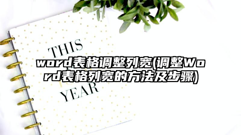 word表格调整列宽