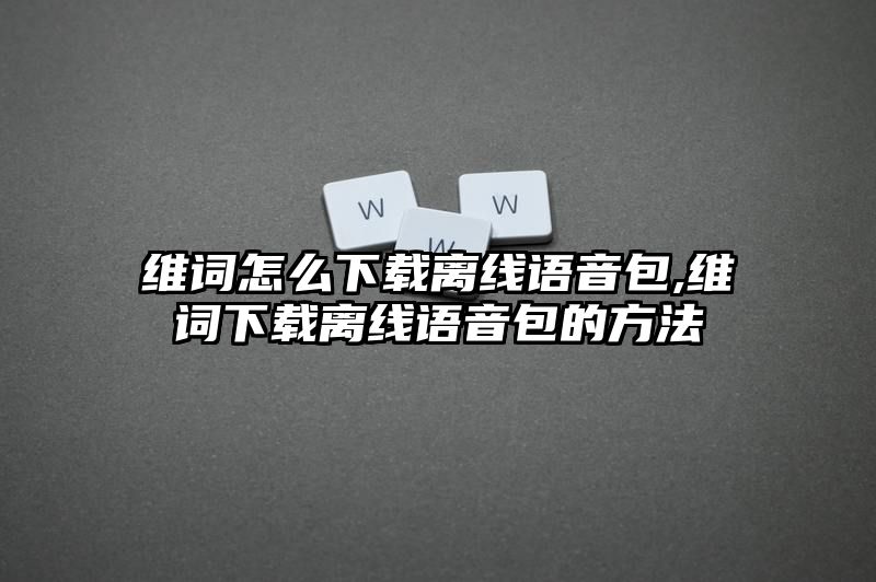 维词怎么下载离线语音包,维词下载离线语音包的方法