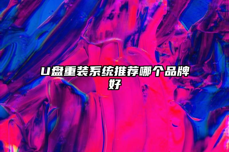 U盘重装系统推荐哪个品牌好