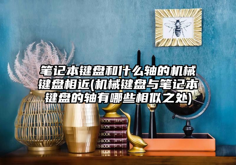 笔记本键盘和什么轴的机械键盘相近