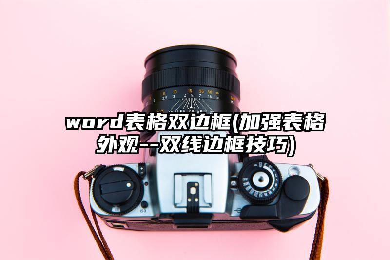 word表格双边框