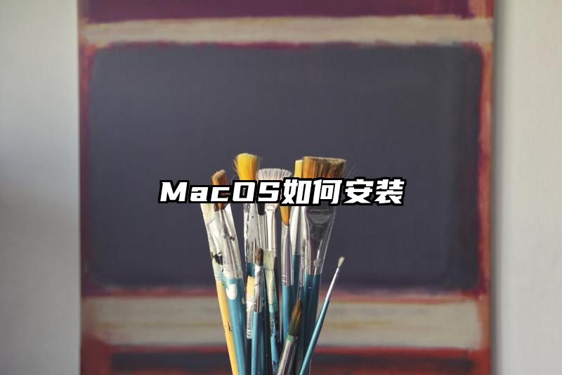 MacOS如何安装