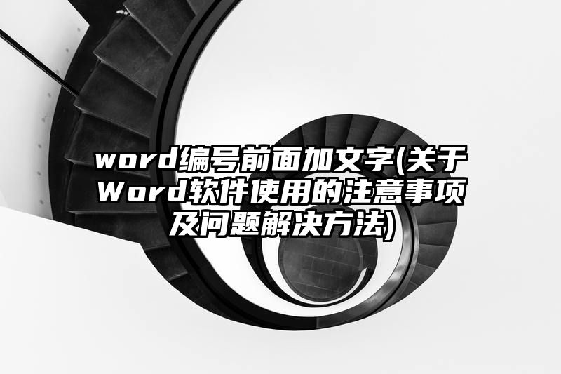 word编号前面加文字